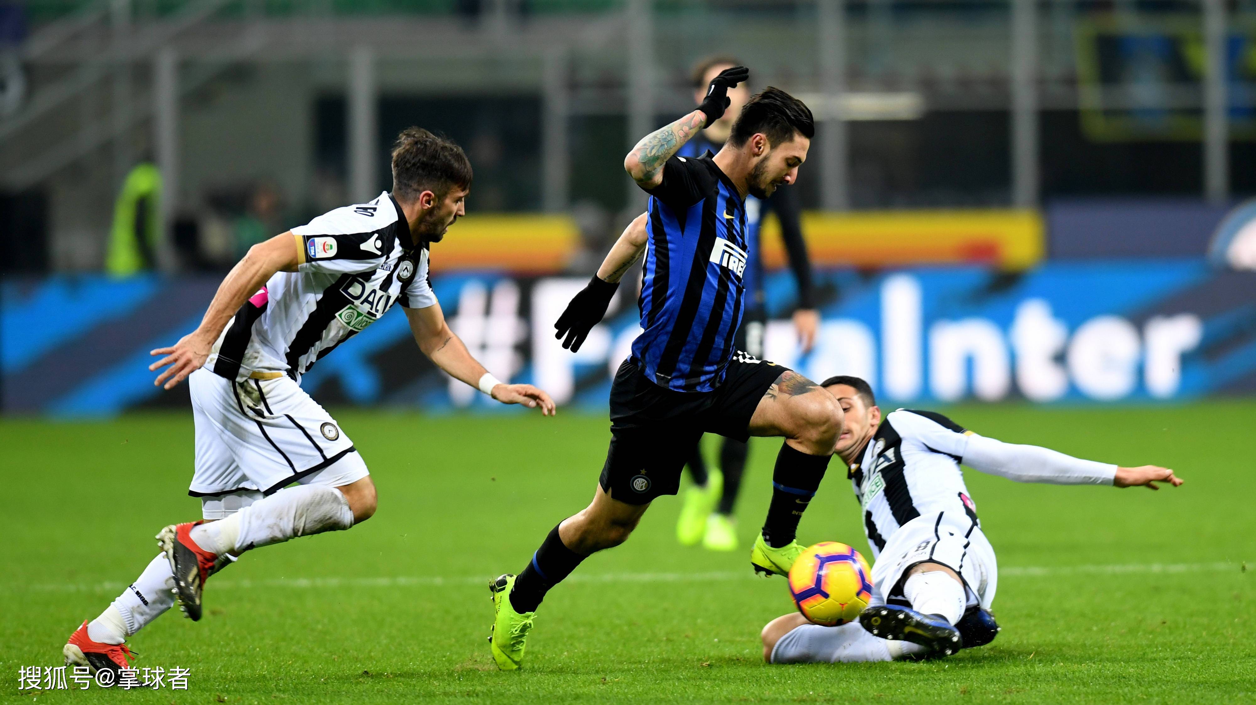 此时选择飞 此时选择飞